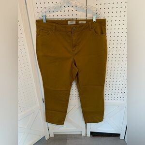 Logo 18 Women’s Petite mustard brown jeans
